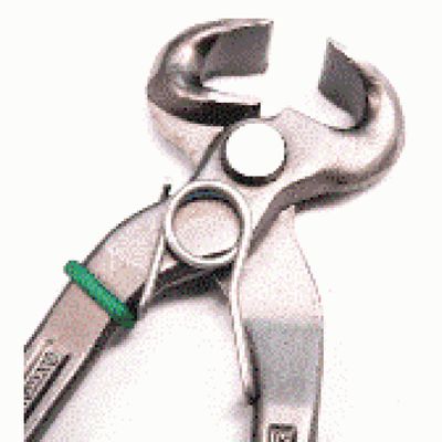 W BRAND NIPPER SPRING