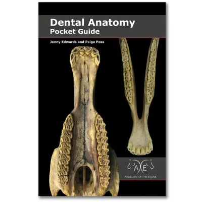 DENTAL BOOK