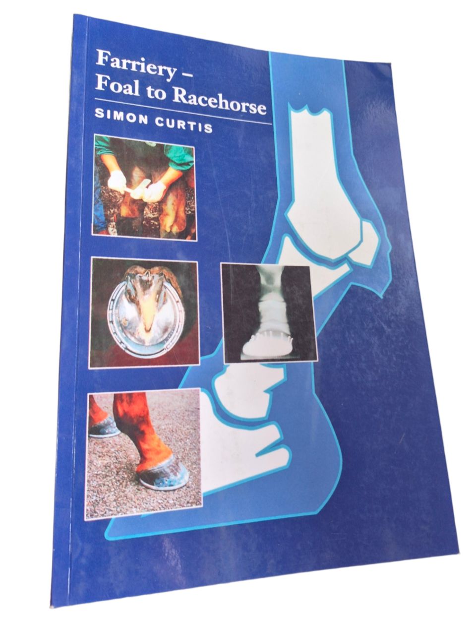 SIMON CURTIS: FOAL TO RACE HORSE