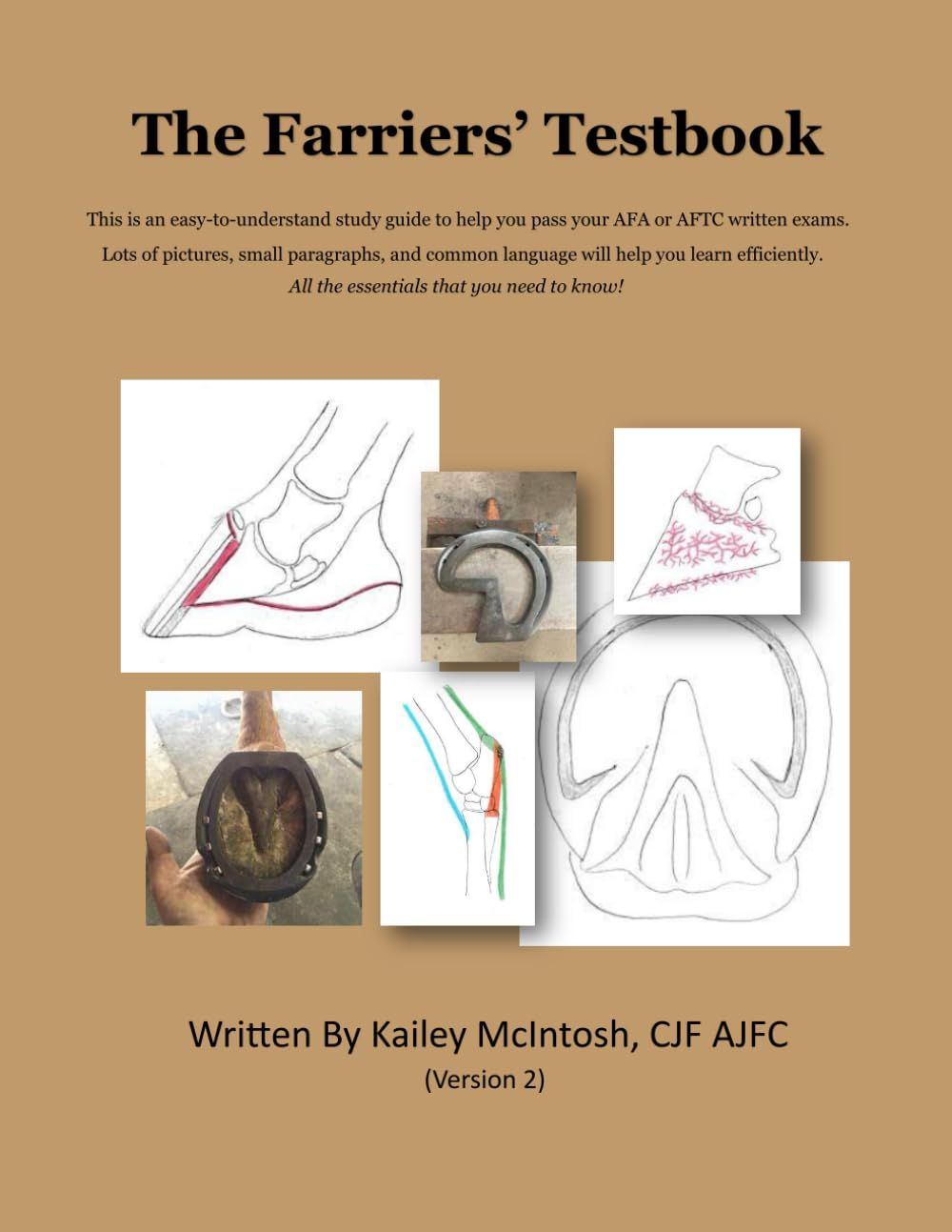 THE FARRIER'S TESTBOOK - McINTOSH