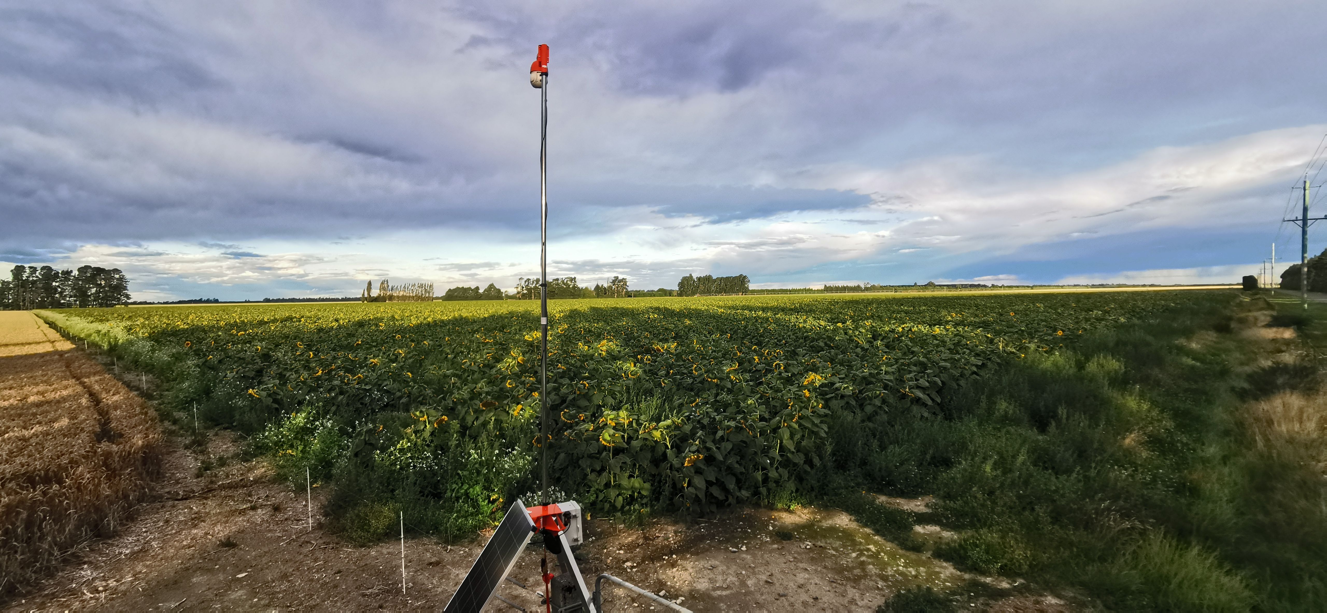 Field-I Long Term Rental (5 months +)