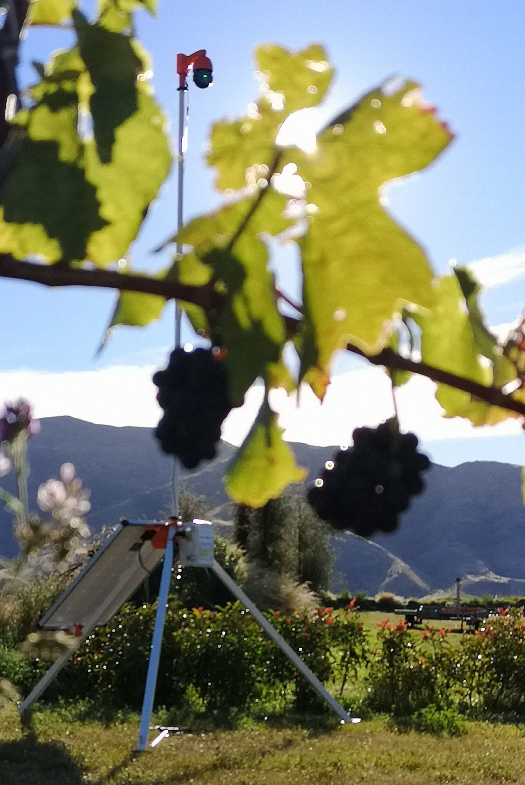 Field-I Winter Rental (May 1 - October 31)