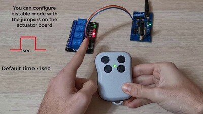 868MHz Bidirectional Remote Control (Evaluation Kit )
