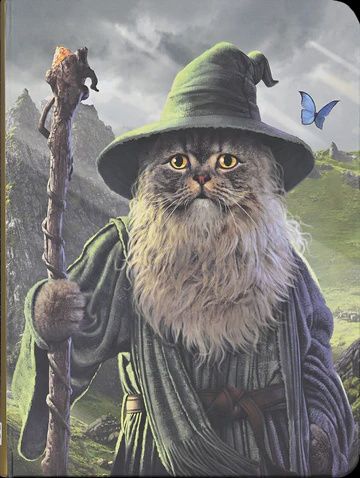 Catdalf Journal