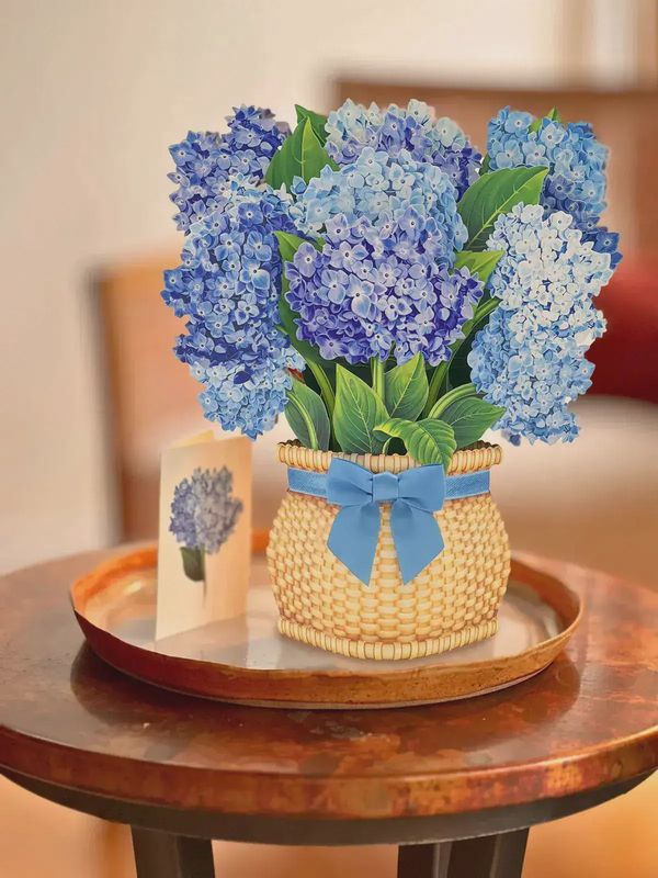 Pop Up Nantucket Hydrangea
