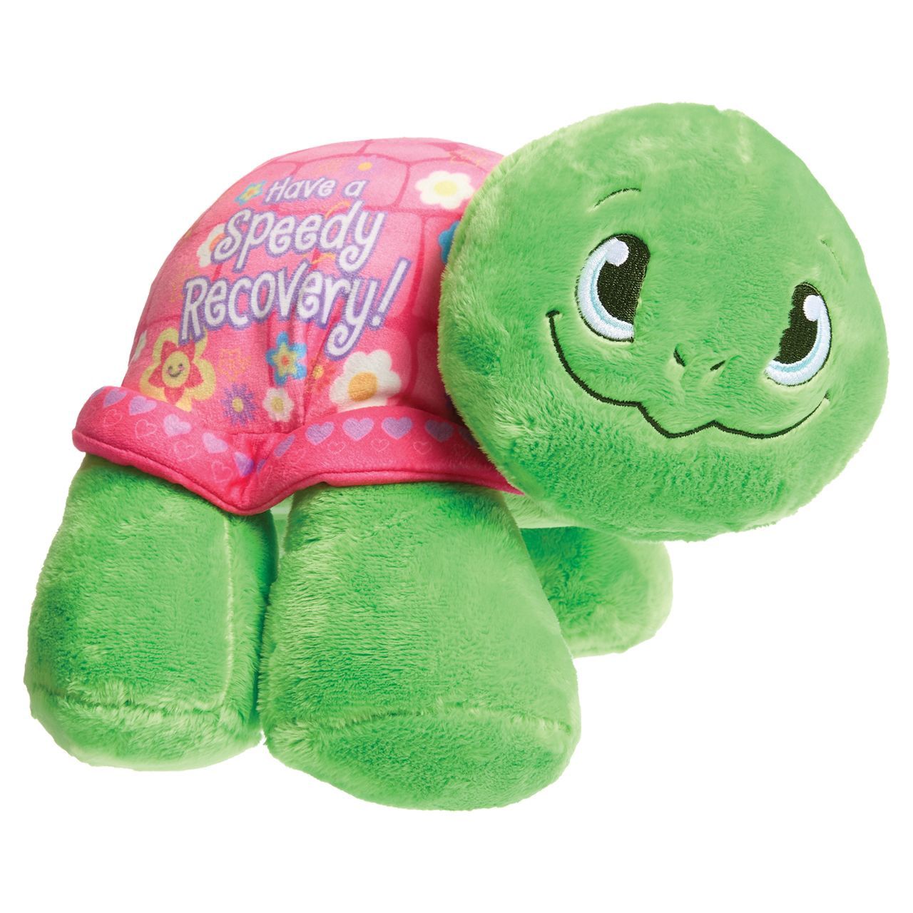 Plush Turtle - Have a Speedy Recovery