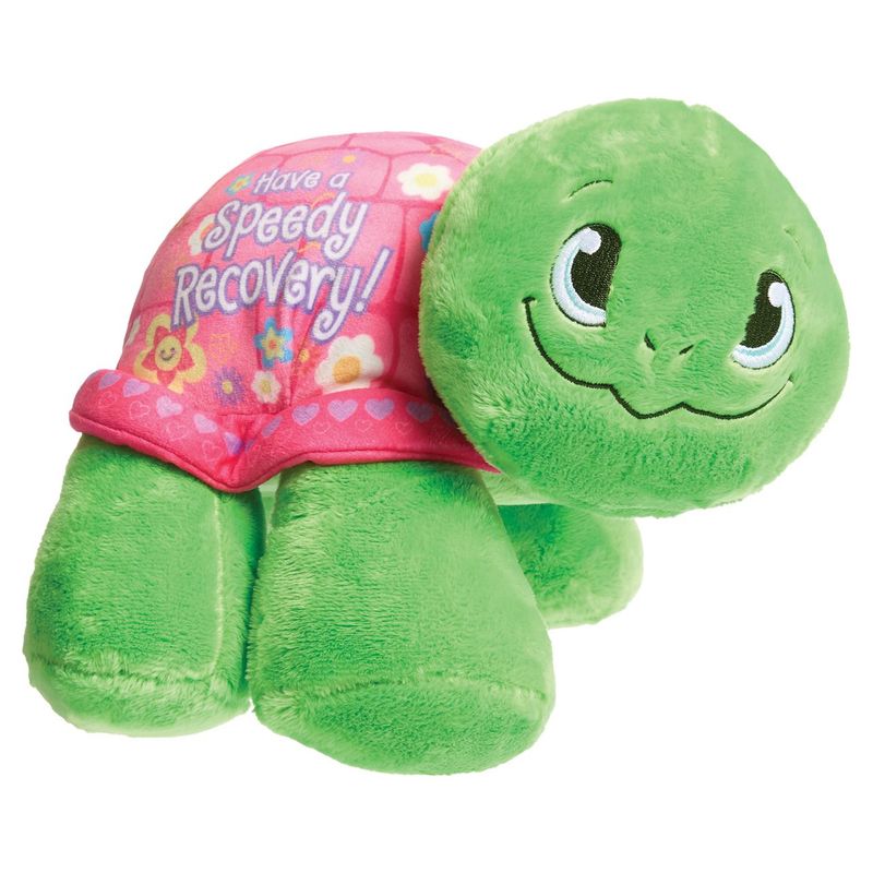 Plush Turtle - Have a Speedy Recovery