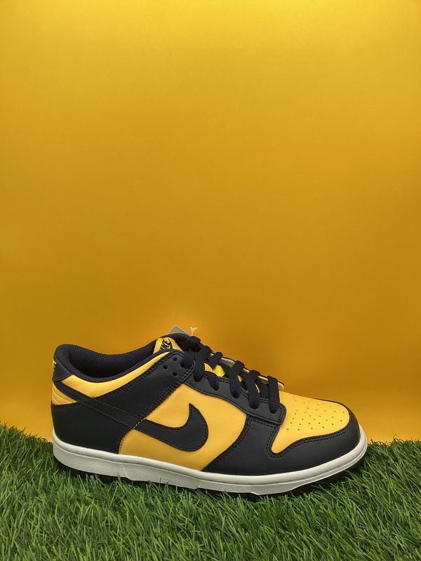 Size 6 youth Michigan dunk