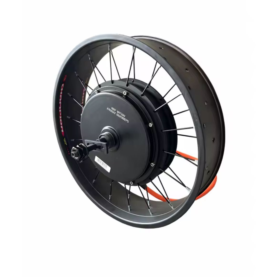 QS205 5,000W Motor (Fits 20x4 Fat Tires)