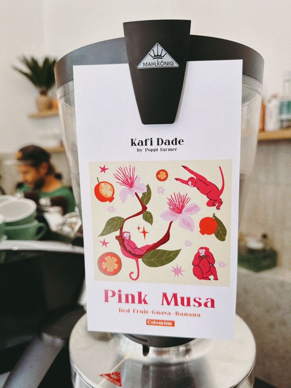 Pink Musa