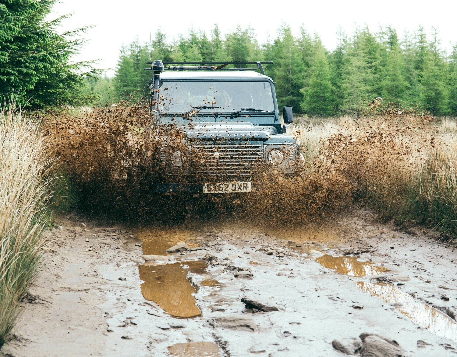 Activity Scotland