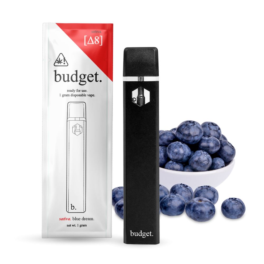 Budget 1G Delta8  Disposable