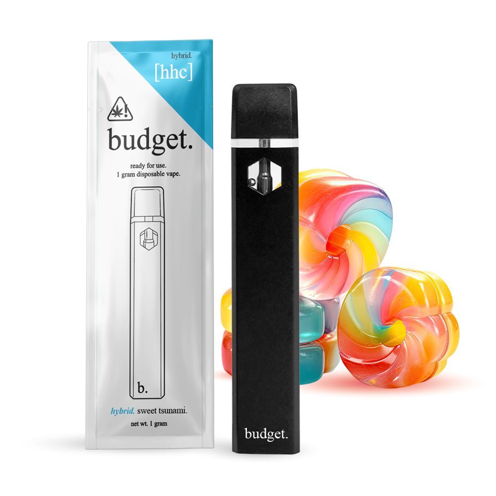 Budget HHC 1G Disposables