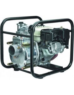 55 Gal Trash Pump