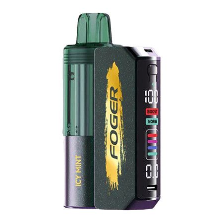 Foger Switch Pro 30K Kit Icey Mint Single