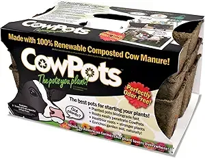 Cow Pots Six cell Flats, 3 Pack