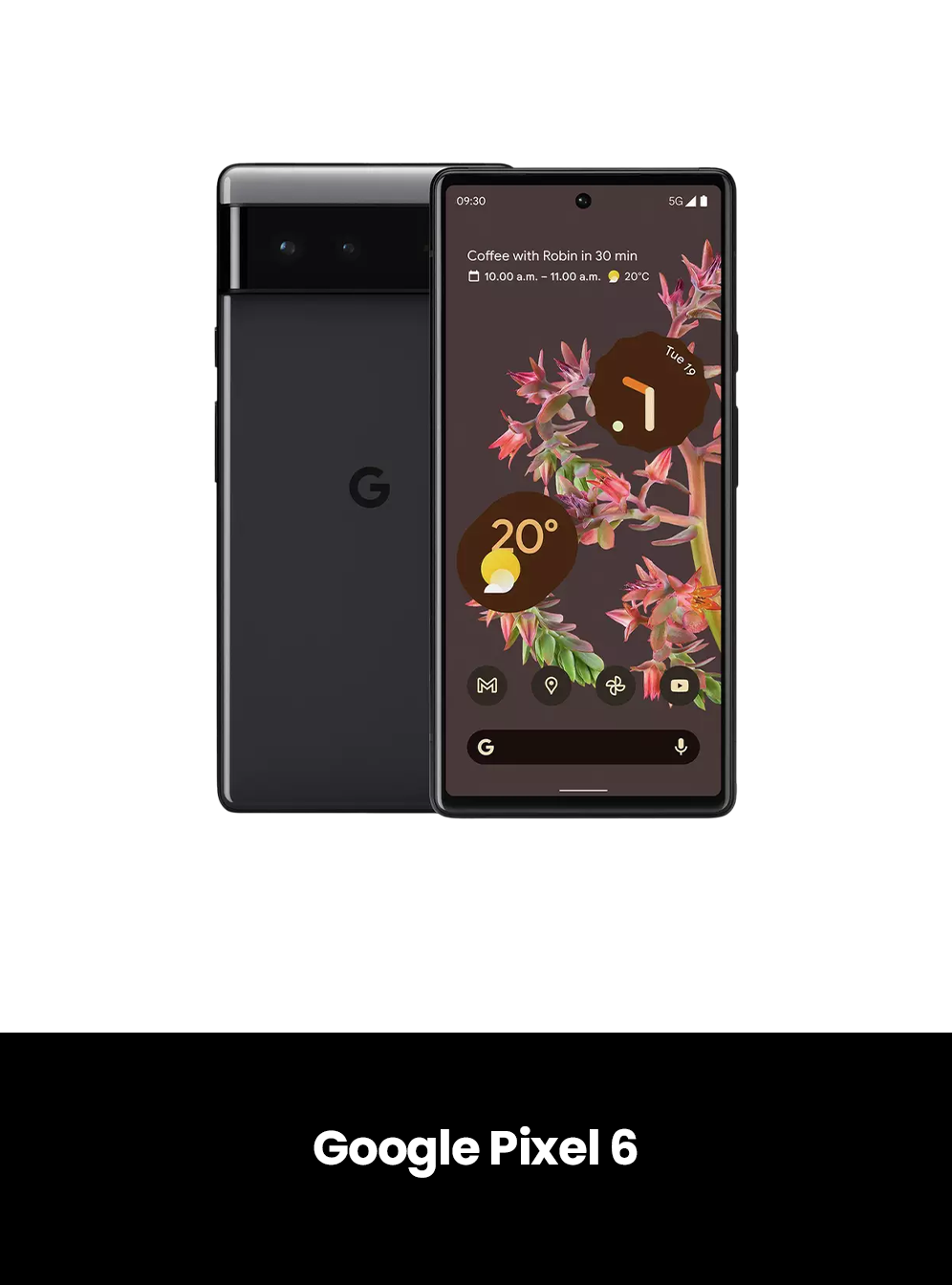 Pixel 6 Repairs