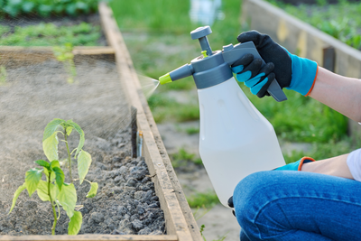 Insecticidas