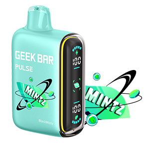 Geek Bar Pulse Mintz BlackMintz