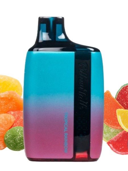 Pillow Talk Tropical Rainbow