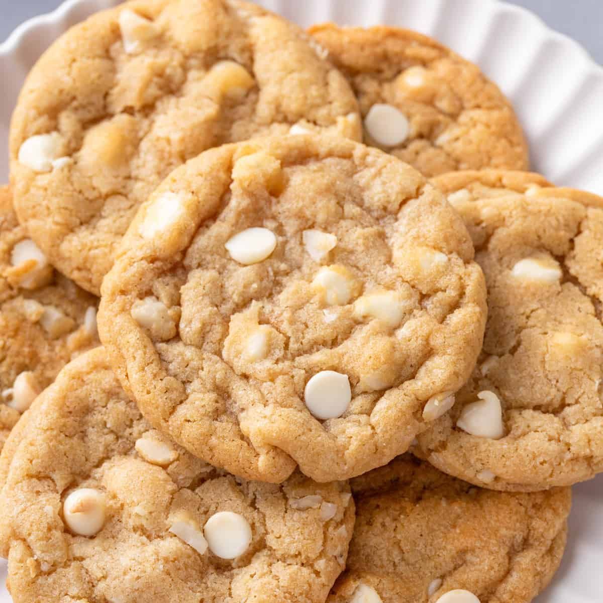 White Chocolate Macadamia