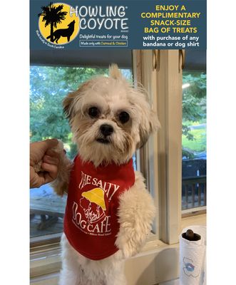 Doggie Shirt Red
