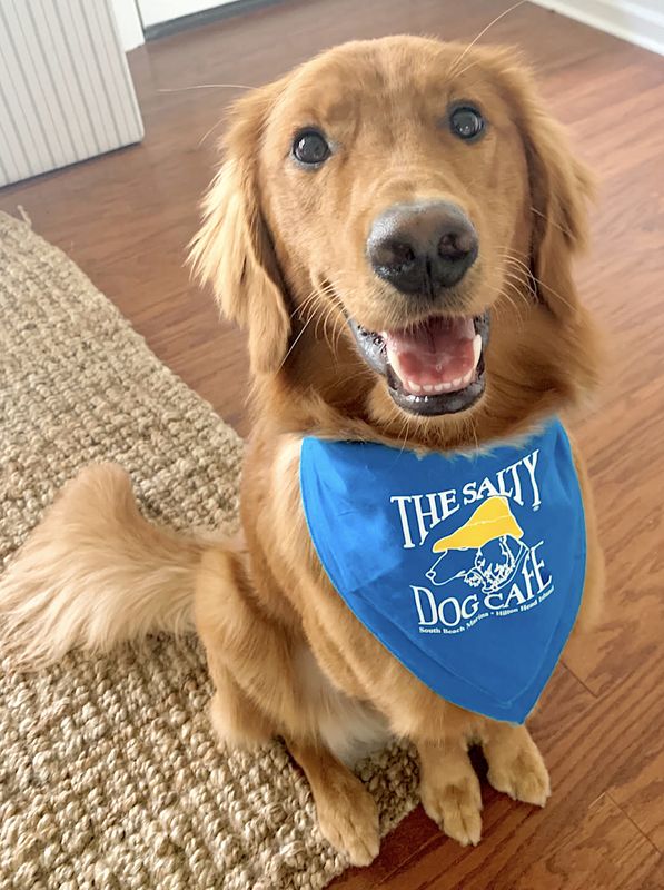 Bandana Turquoise
