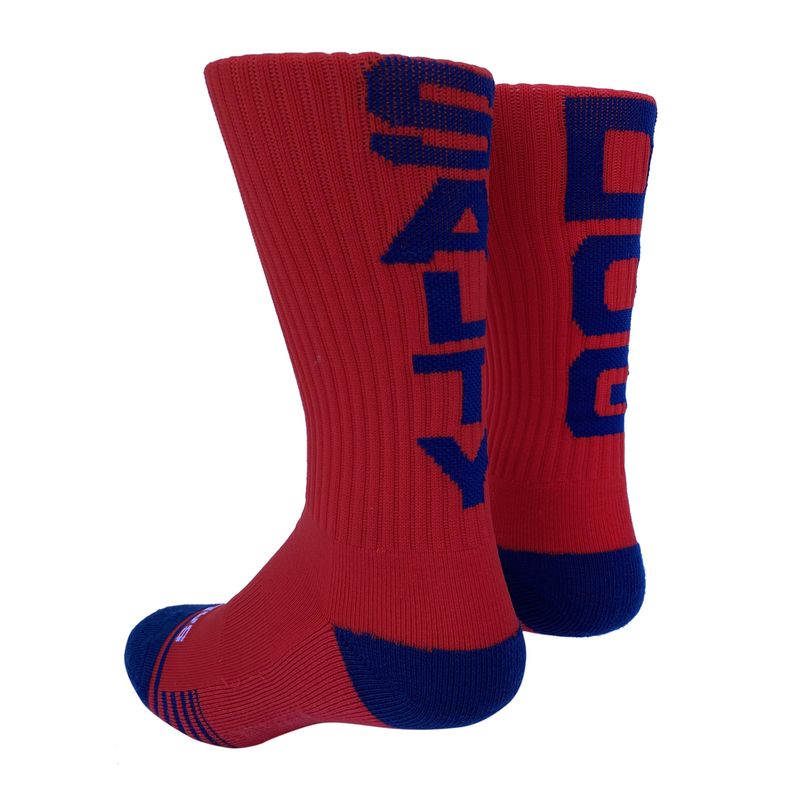 Socks-Salty Dog, Red/Navy