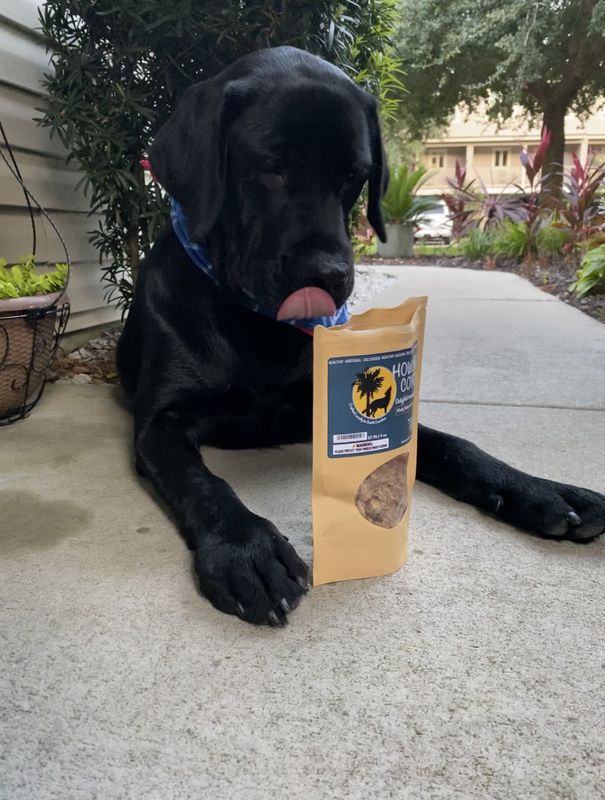Howling Coyote Treats 4oz Chicken