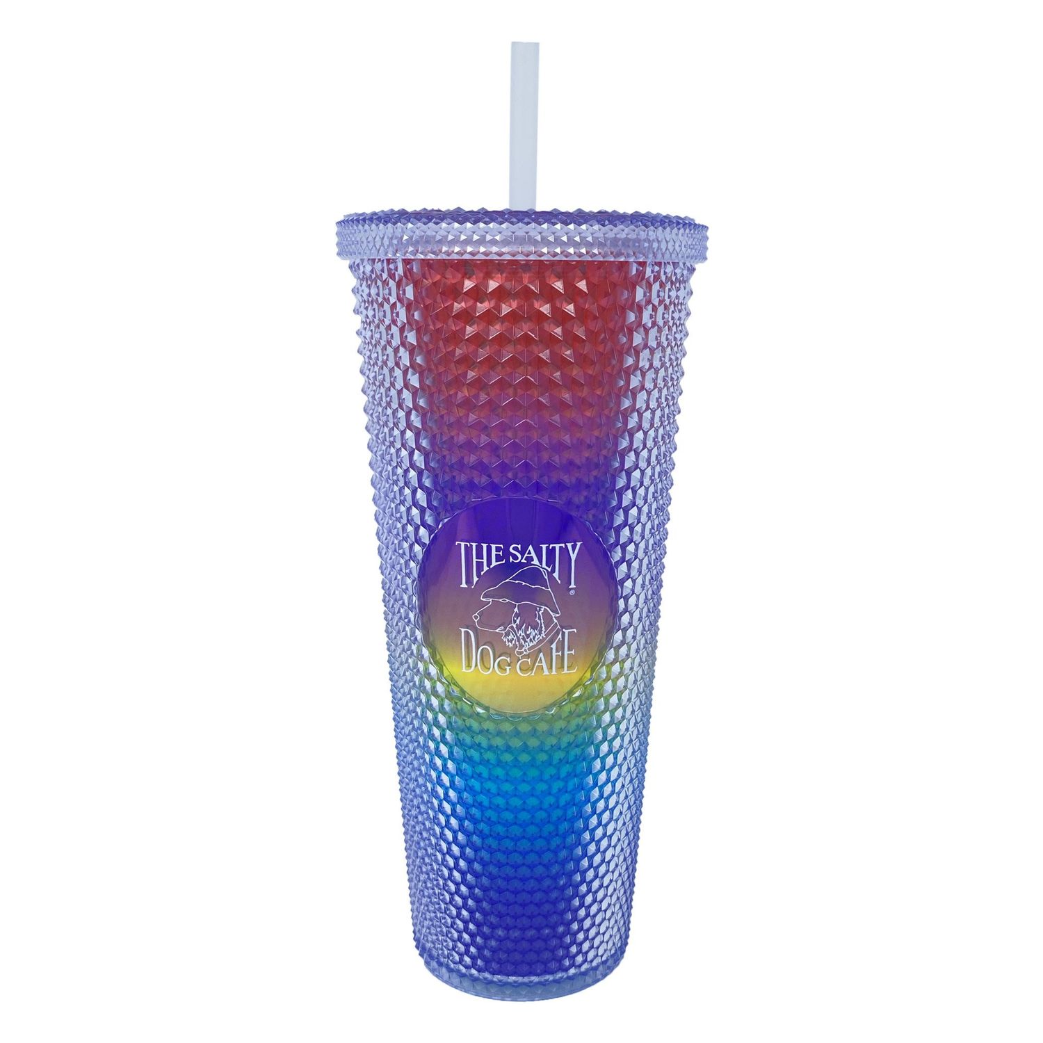 24oz Studded Tumbler w/ Lid &amp; Straw Rainbow