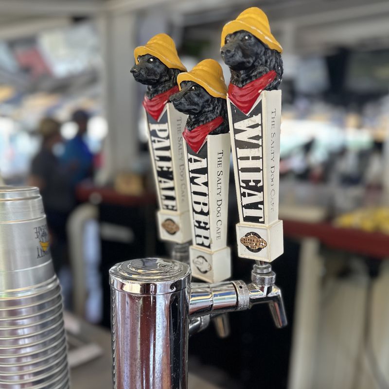 Salty Dog Tap Handle