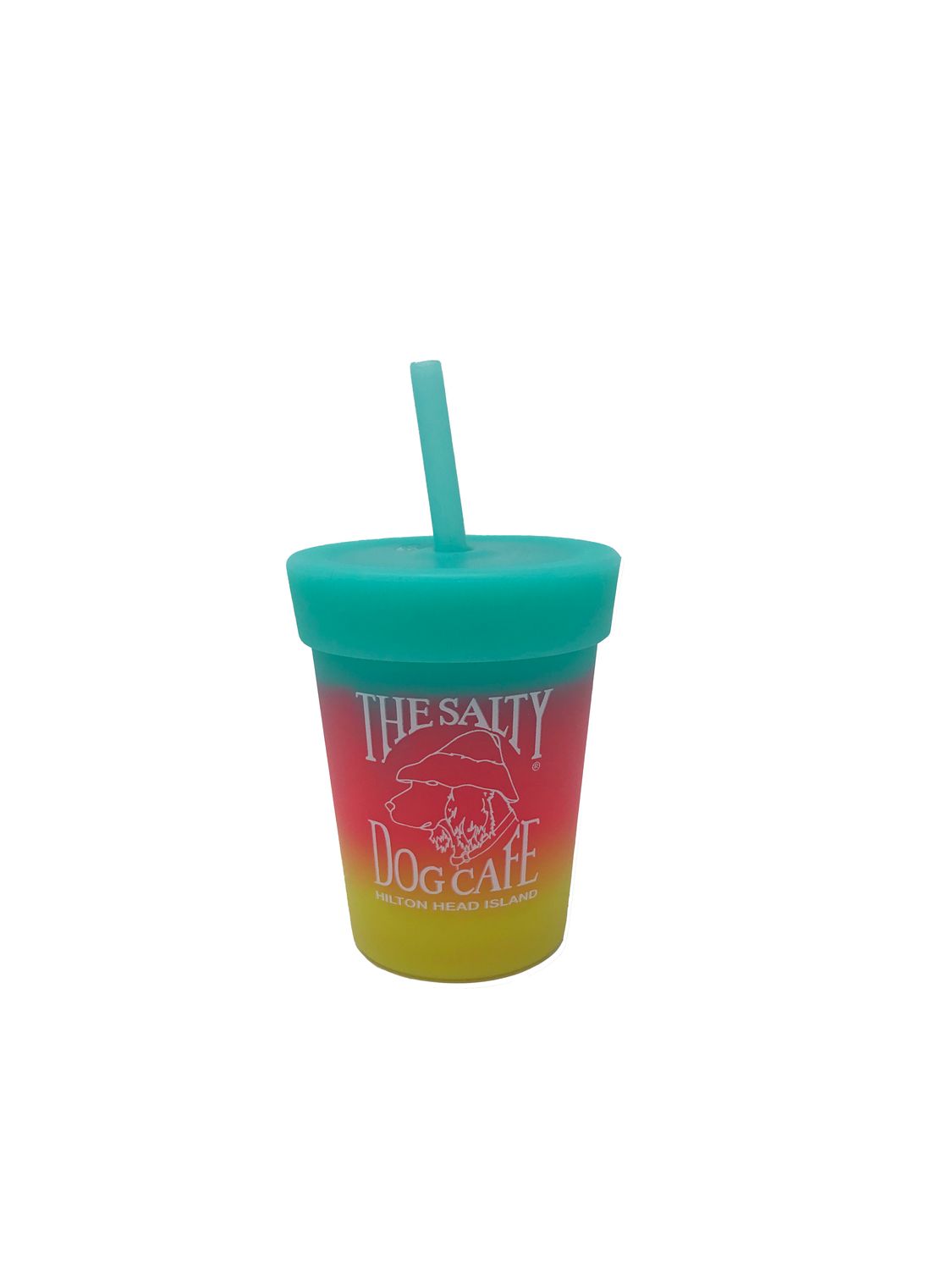 SiliPint Kids Straw Tumbler, Aurora, 8 oz