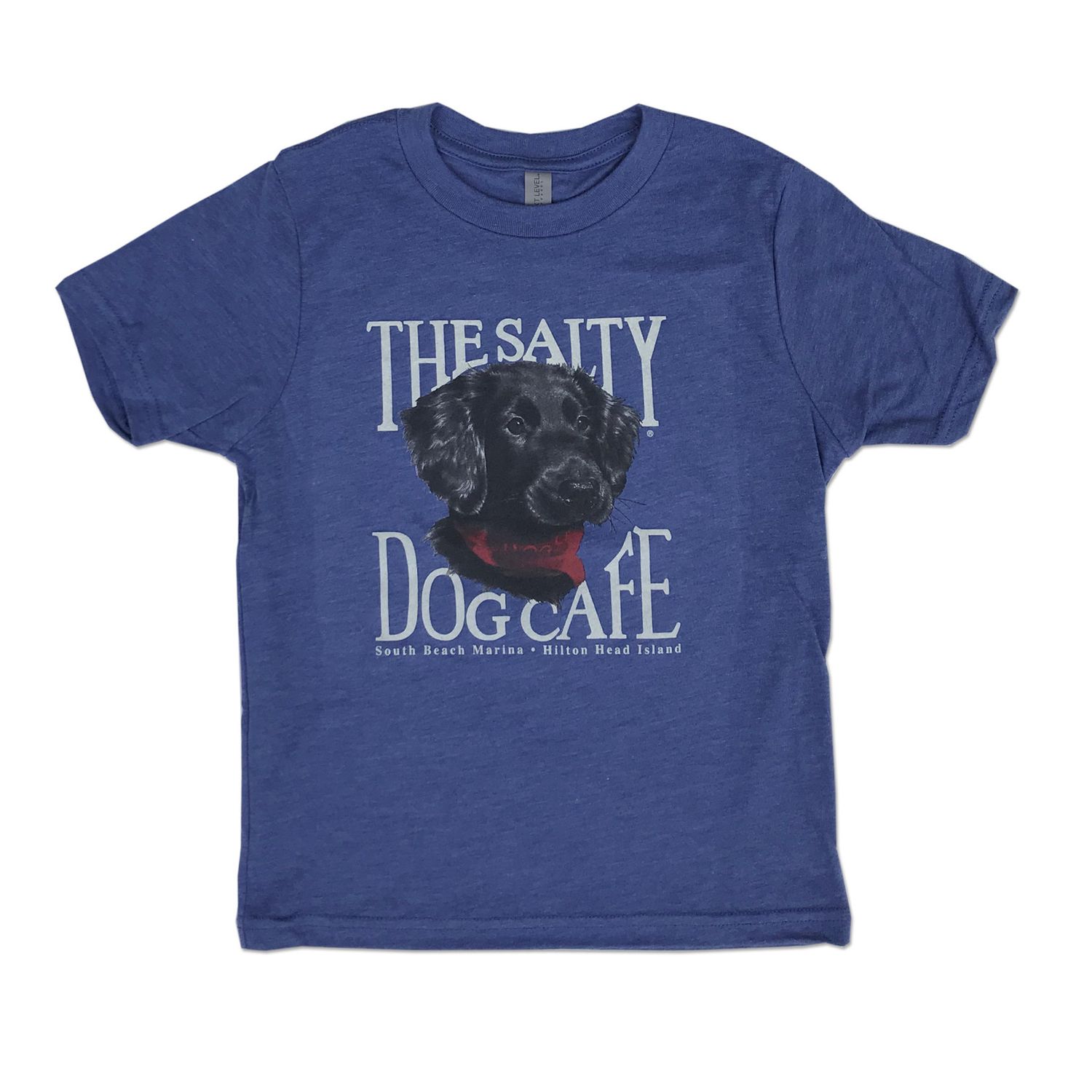 Youth Puppy Portrait Triblend S/S Royal, Size: XS (4/5)