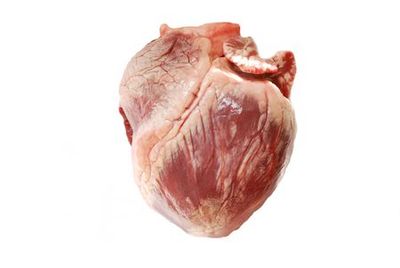 Hart