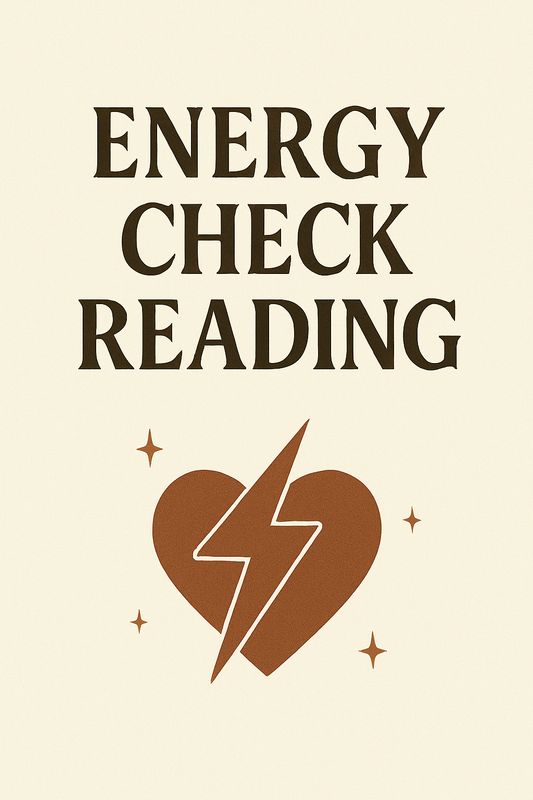Energy Check Reading