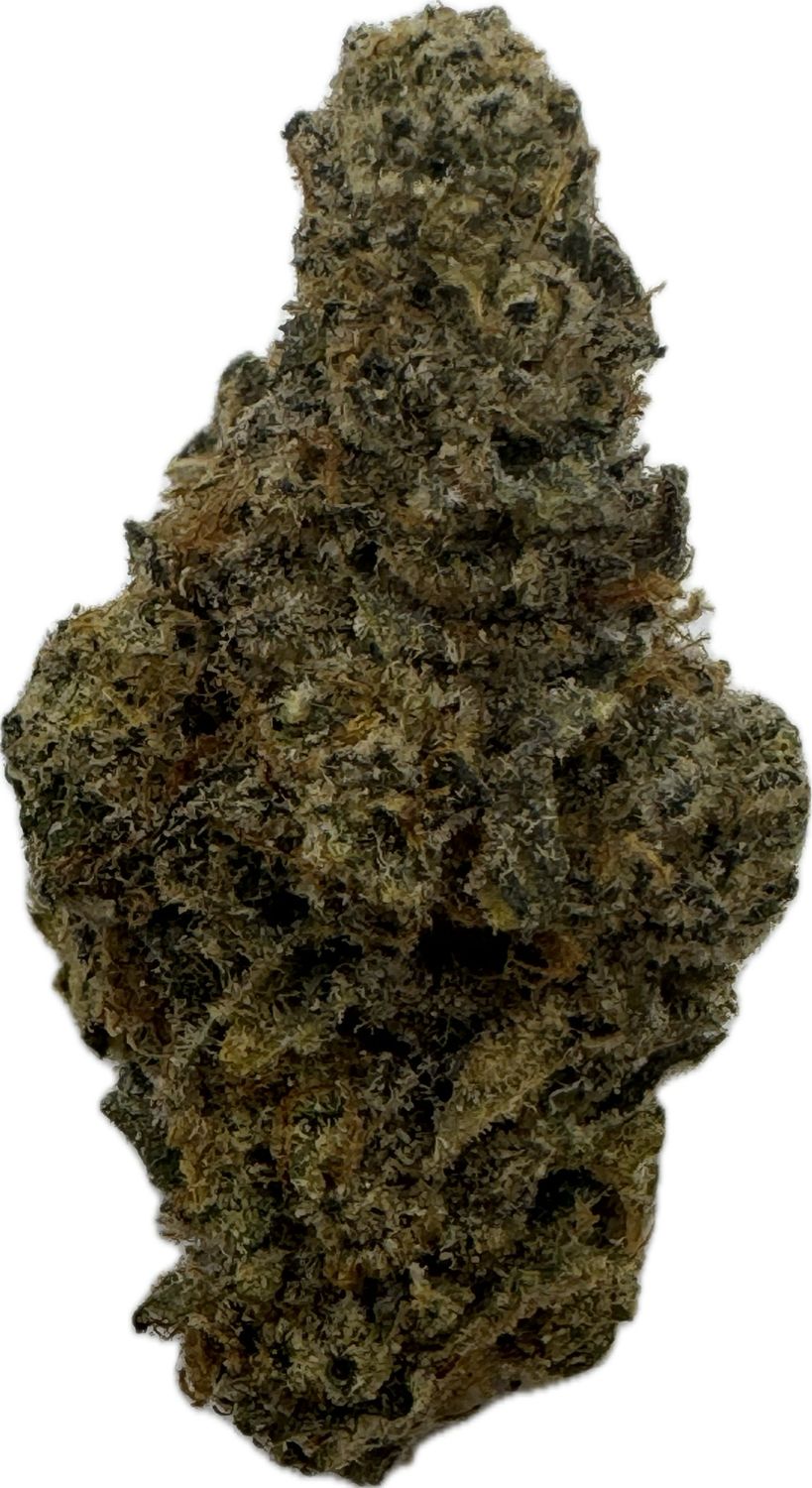 Flower: Poisoned Gelato THC 26% 0.5 Ounce HYBRID