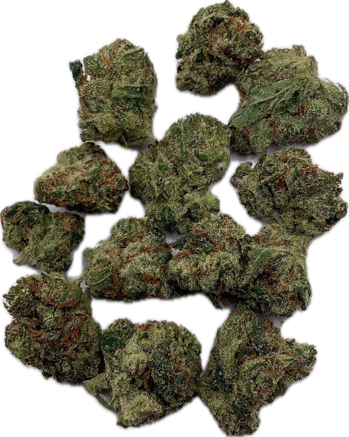 Flower: Lilac Haze (minis) THC 26% 3.5g SATIVA