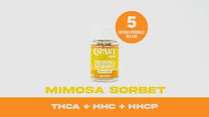 Coast : Exotics THCa 5pak Preroll - Mimosa Sorbet INDICA