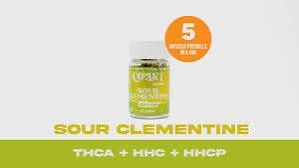 Coast : Exotics THCa 5pak Preroll - Sour Clementine SATIVA