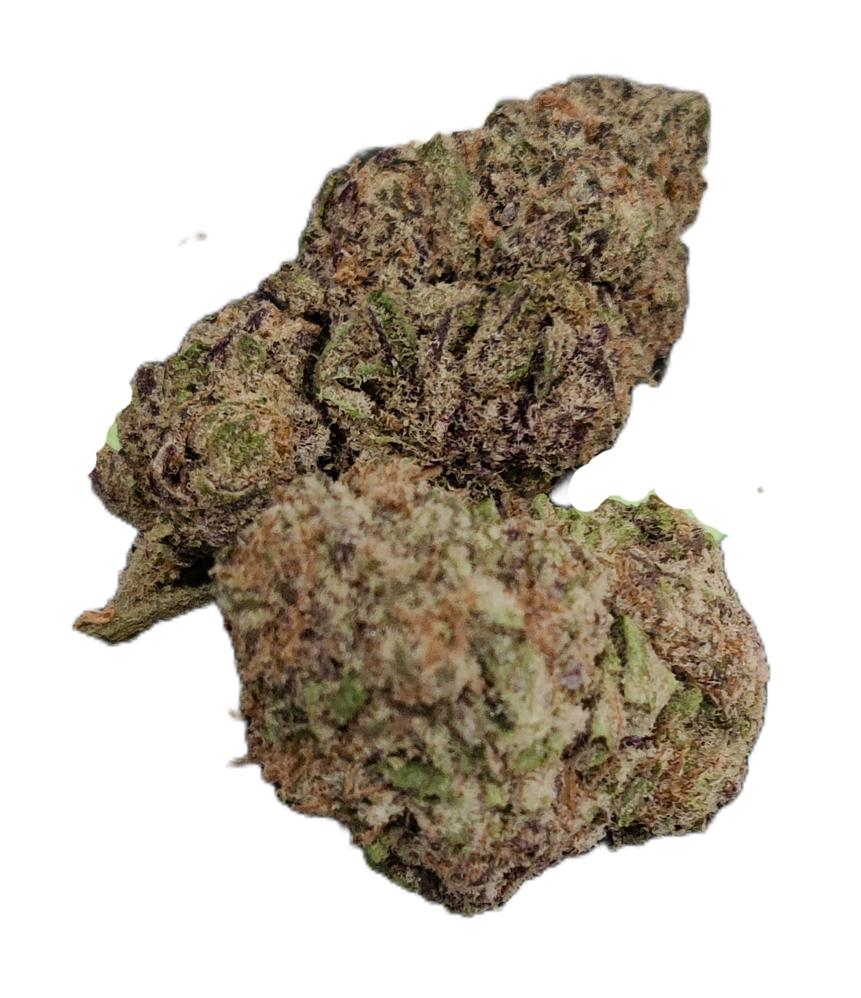 Flower: Biscotti THCa 32.96% 1 Ounce HYBRID