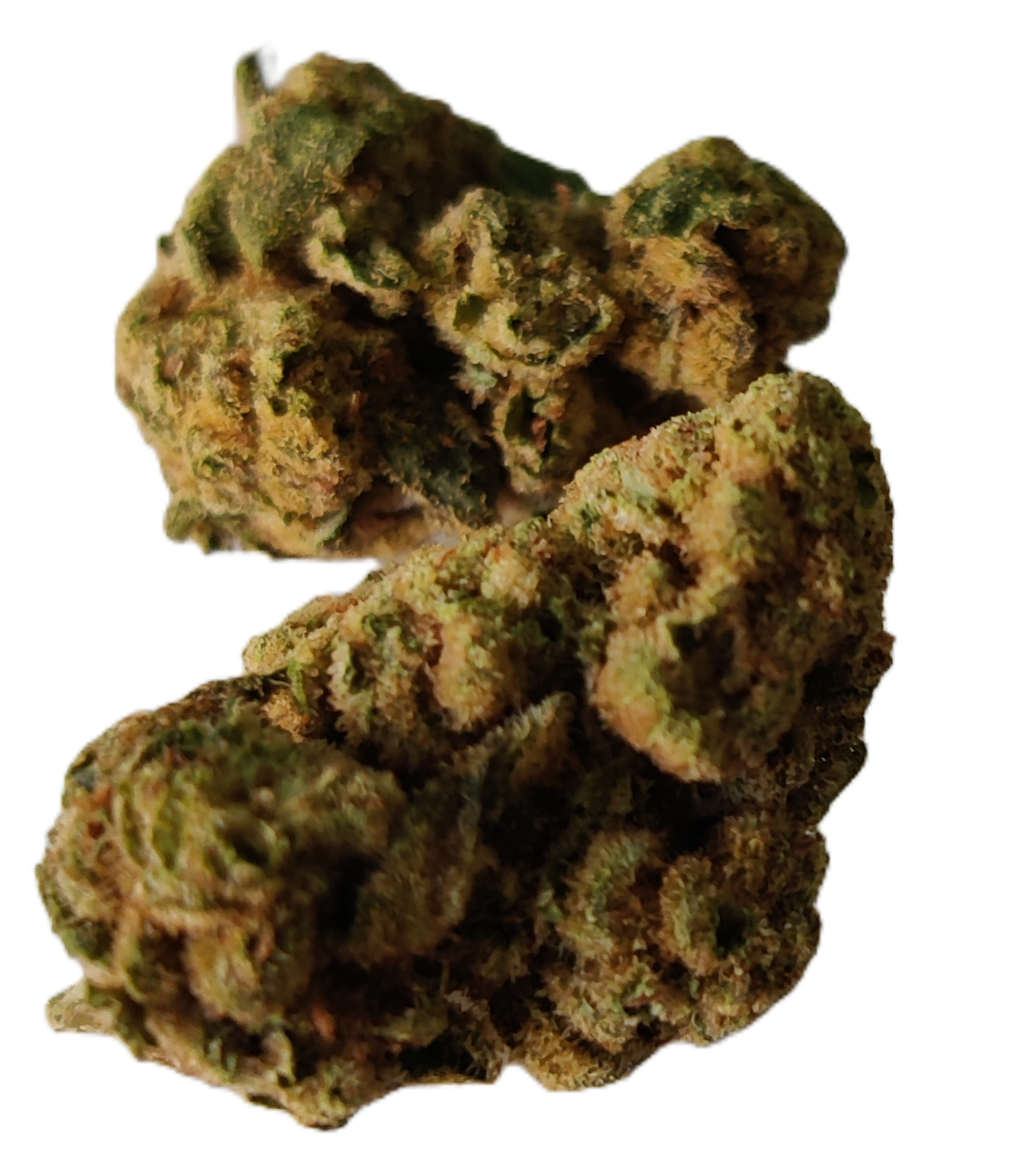 Flower: Glitter Bomb THCa: 24% 1 Ounce I-HYBRID