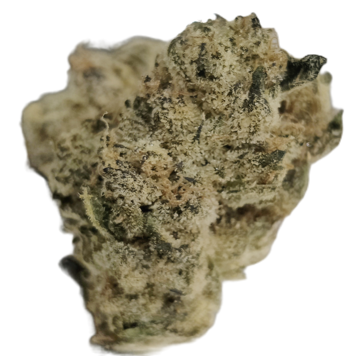 Flower: Bubblegum Runtz THCa 22% 1 Ounce I-HYBRID