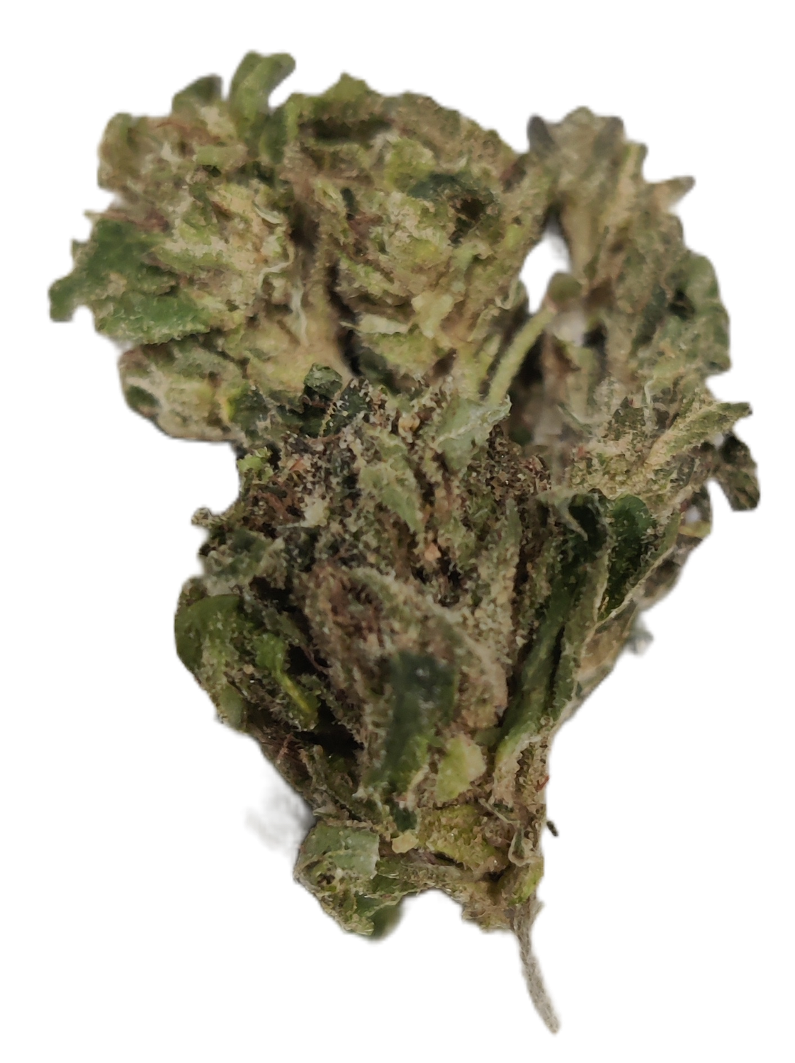 Flower: Jelly Breath (smalls) THCa: 31% 1 Ounce I-HYBRID
