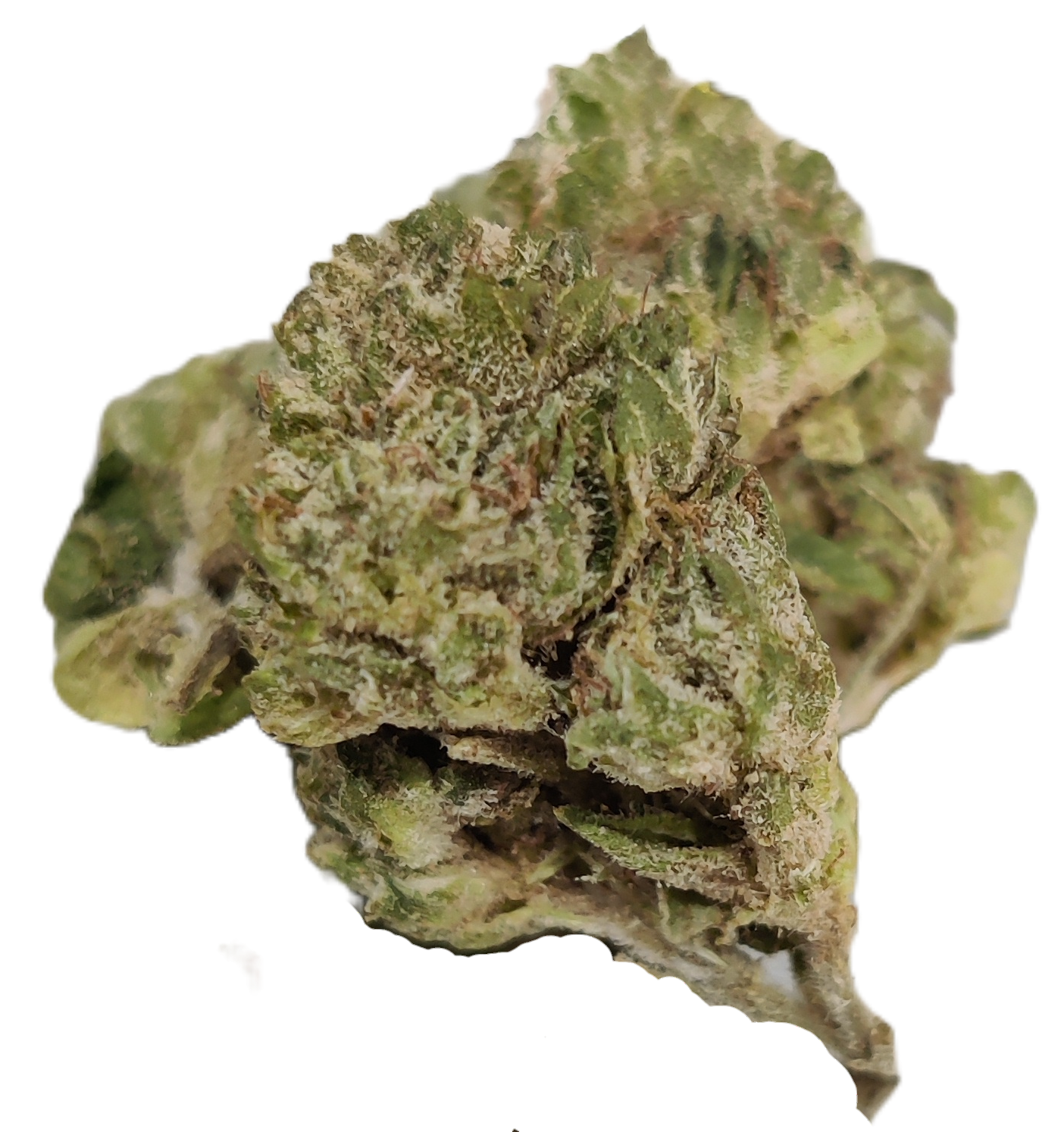 Flower: Purple Urkle (smalls) THCa: 22% 1 Ounce HYBRID