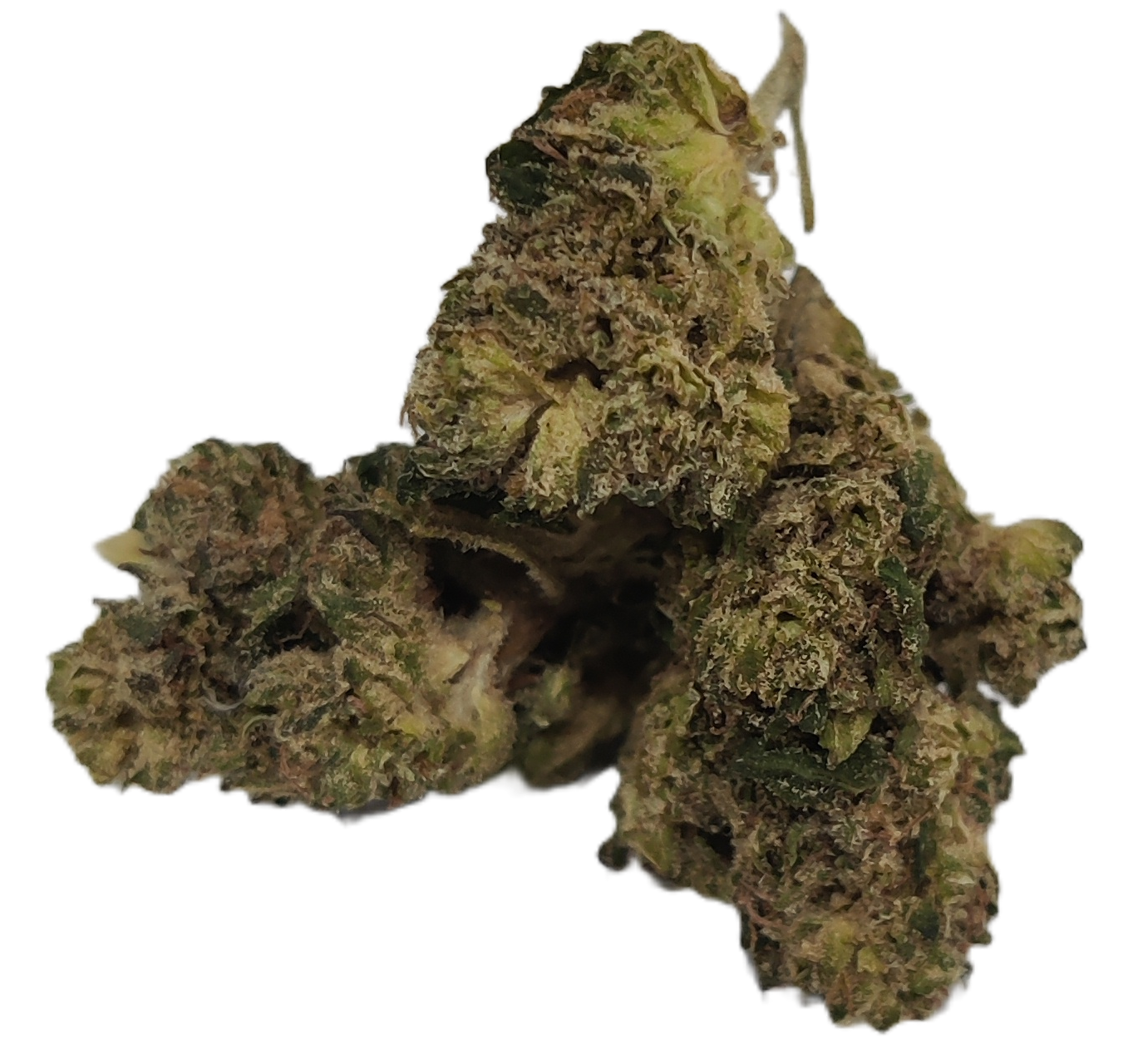 Flower: Melonwreck (smalls) THCa: 24.89% 3.5g HYBRID