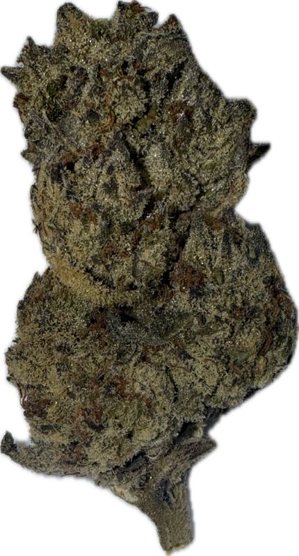 Flower: Oreoz x Runtz THCa: 27% 3.5g HYBRID