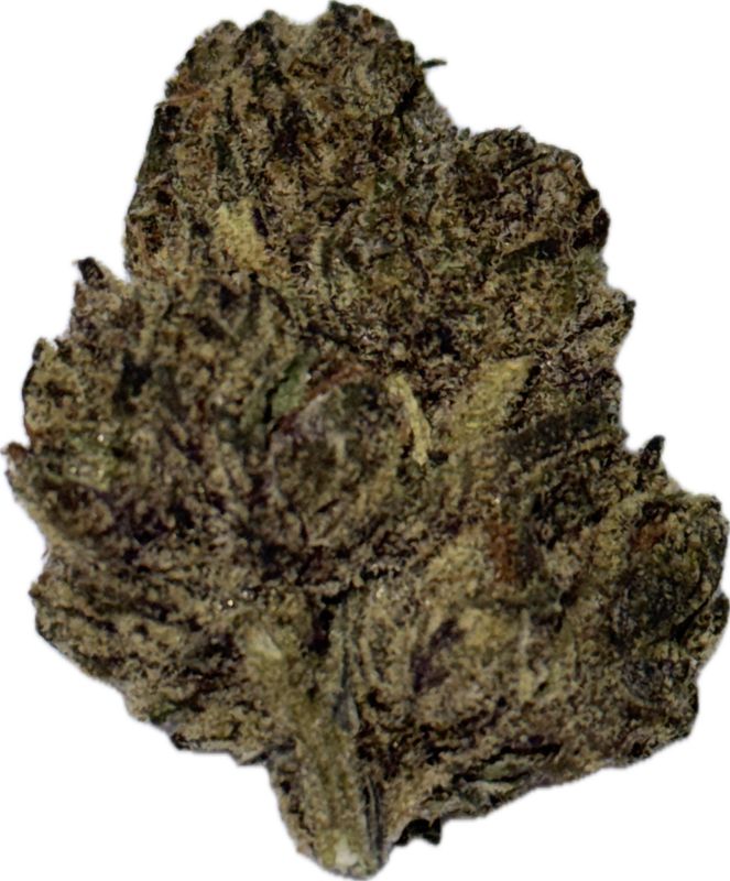 Flower: Ice Princess THCa 32.96% 1 Ounce HYBRID