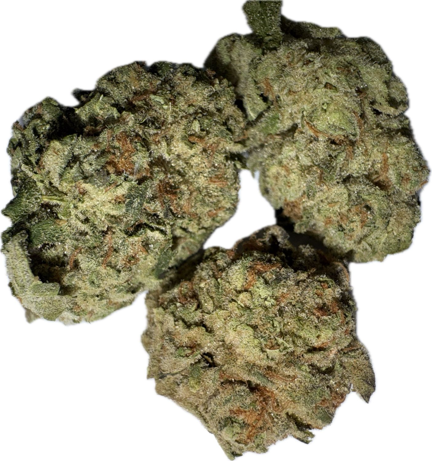 Flower: Lava Cake THCa 26.34% 0.5 Ounce HYBRID
