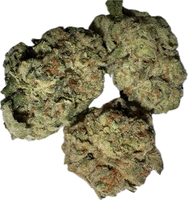 Flower: Lava Cake THCa 26.34% 0.5 Ounce HYBRID