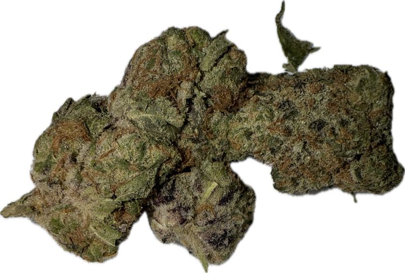 Flower: French Lotus THCa: 31.55% 1 Ounce HYBRID